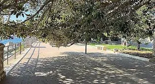 La passeggiata a mare nel degrado, ma gli alberi &laquo;non si possono potare&raquo;