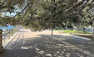 La passeggiata a mare nel degrado, ma gli alberi &laquo;non si possono potare&raquo;