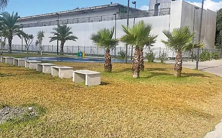 Agor&agrave; dello Stretto, la gestione passa al Comune. Ma &egrave; polemica: &laquo;Prato ingiallito&raquo;